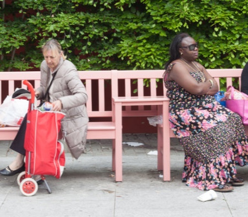 The Companionable Bench